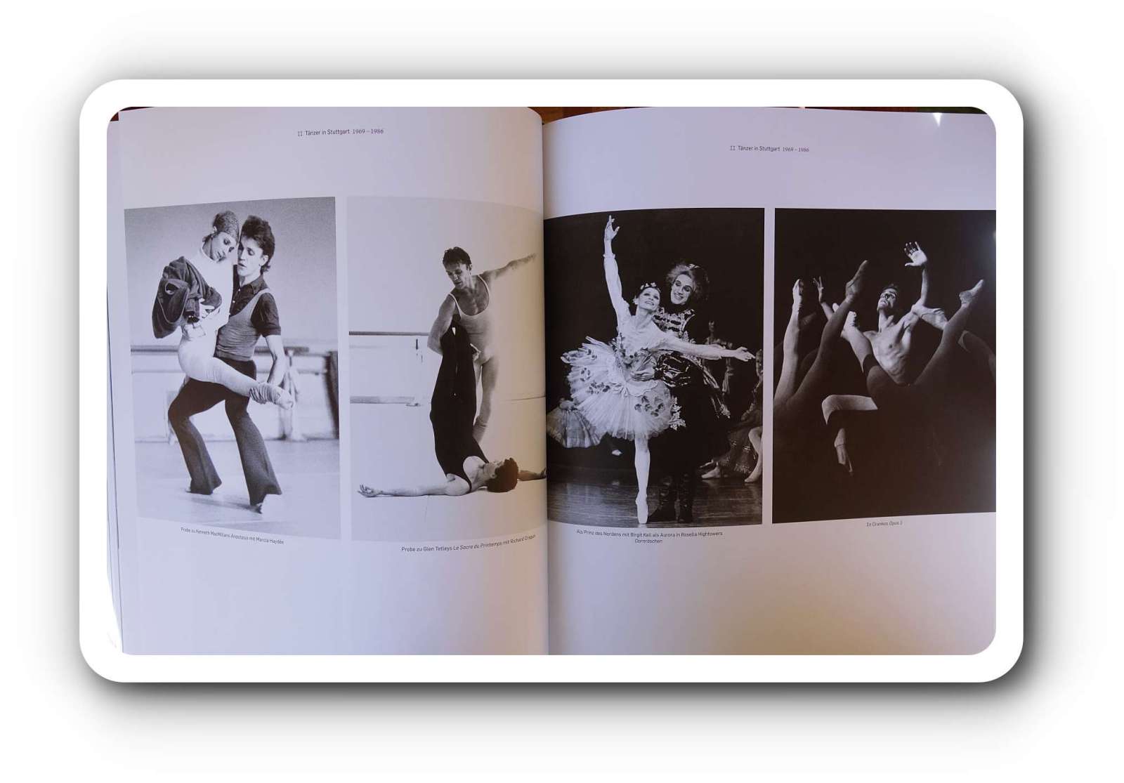 Stuttgarter Ballett Reid Anderson Buch Having It Demis Volpi