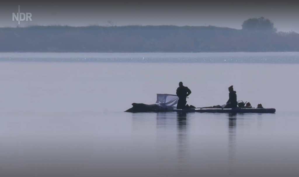 Der Wal "Timmy / Hope" ist in aller Herzen