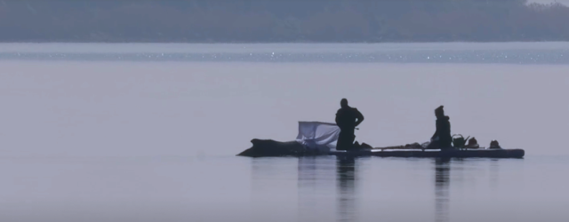 Der Wal "Timmy / Hope" ist in aller Herzen