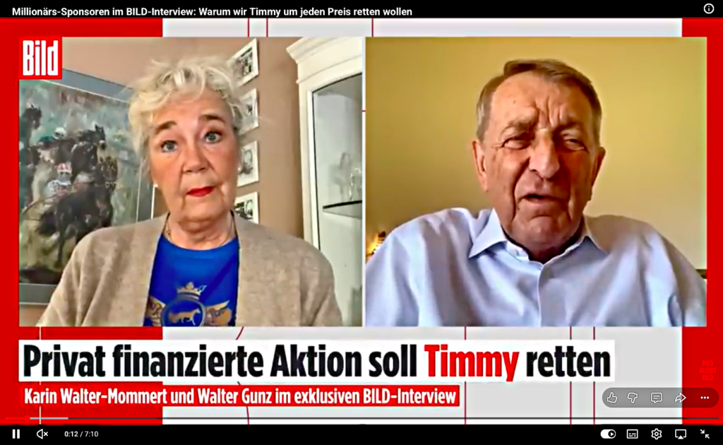 Timmy, der Wal