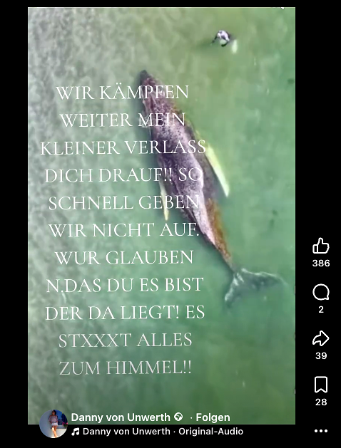 Timmy, der Wal