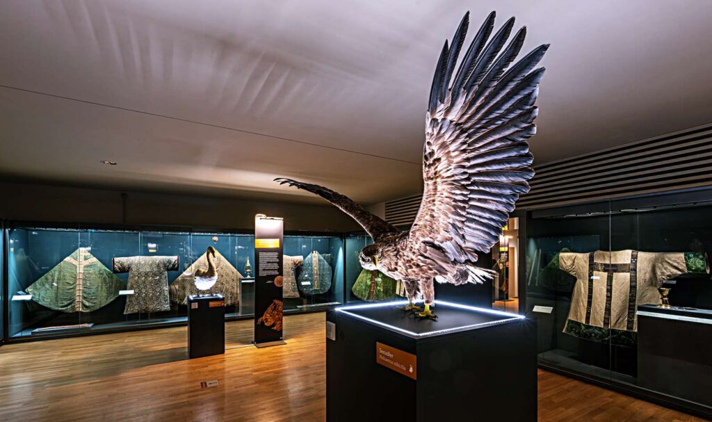 Halberstadt: Domschatz, Vogelwelten und TanzHarz