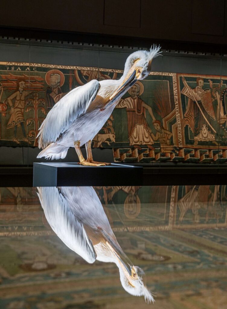 Halberstadt: Domschatz, Vogelwelten und TanzHarz